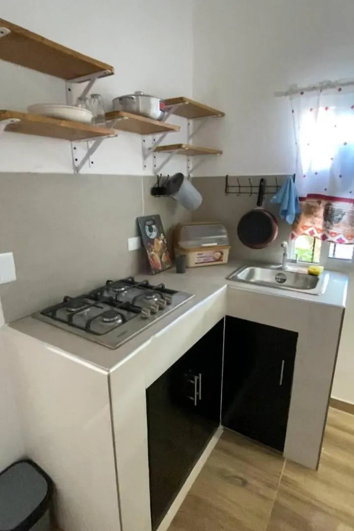 Areca House联系方式